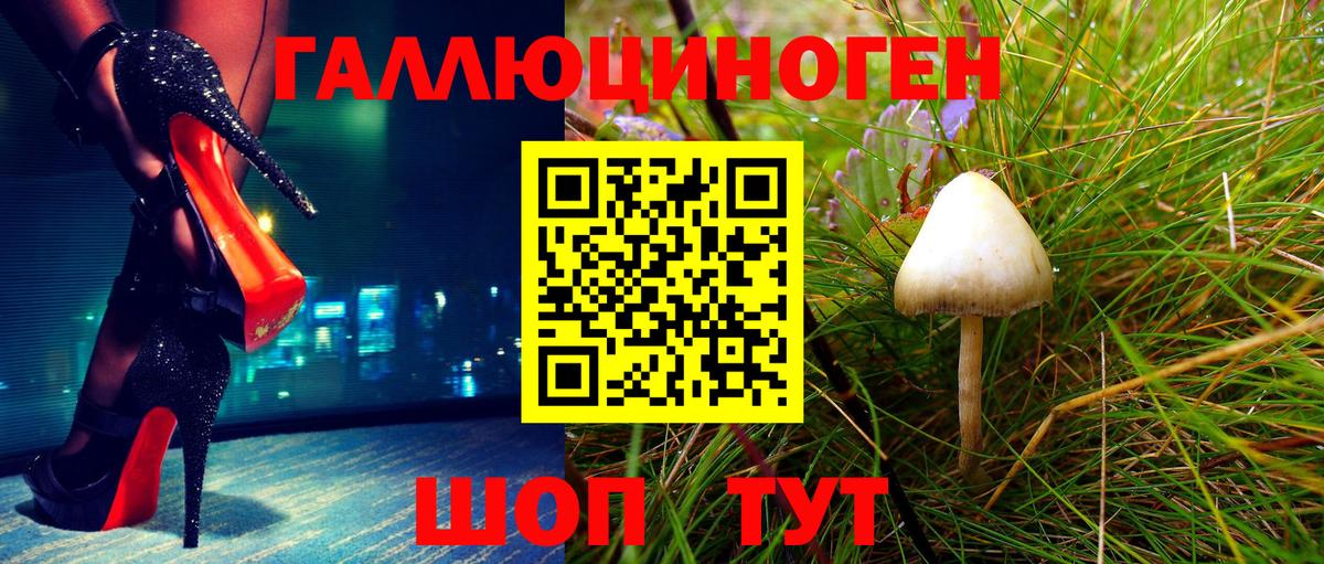 Керчь  Псилоцибиновые грибы Cubensis  Вход с VPN 
