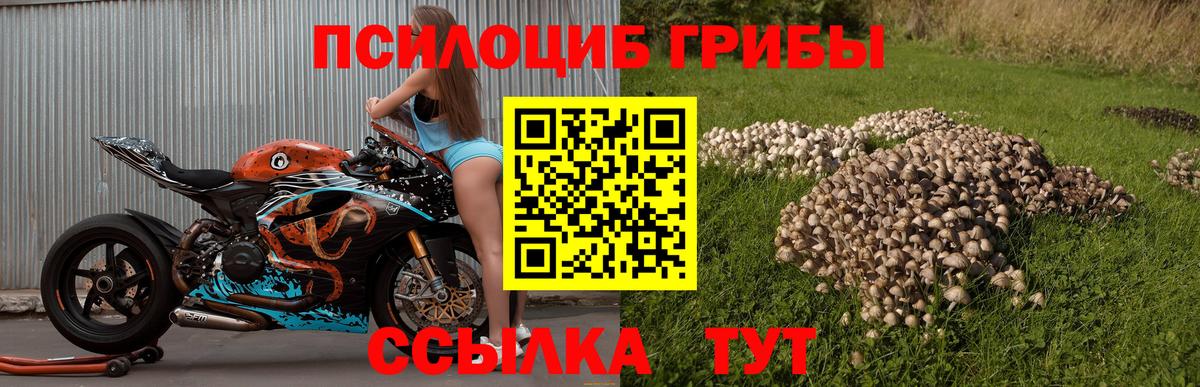 Галлюциногенные грибы Cubensis Керчь
